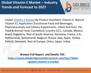 Vitamin E Market