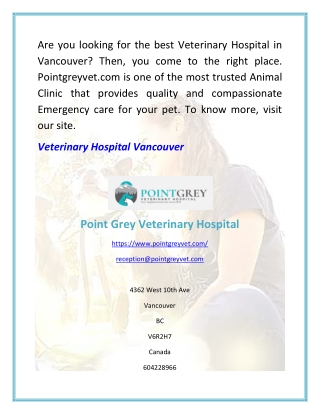 Best Veterinary Hospital Vancouver | Point Grey Veterinary Hospital Vancouver